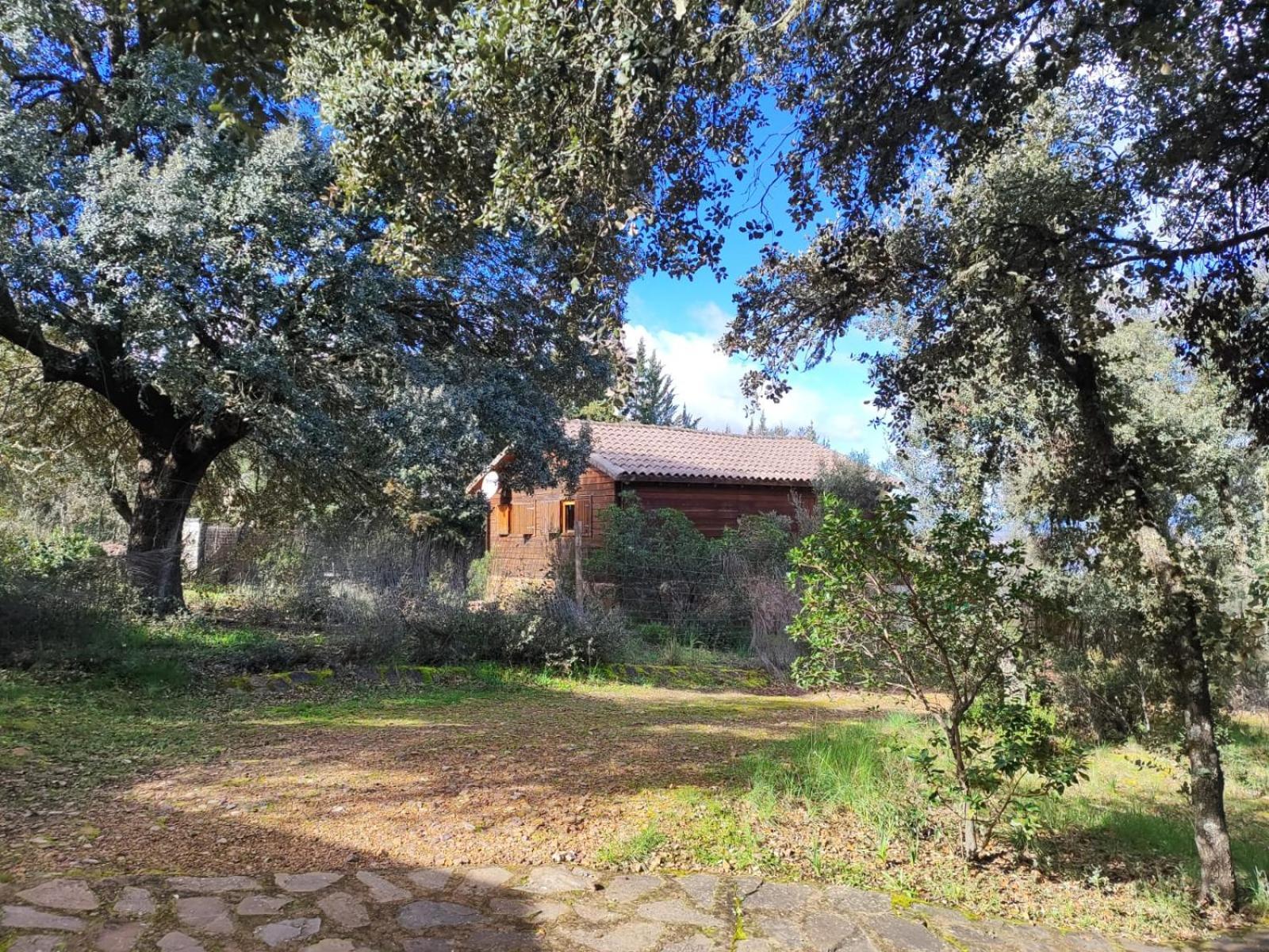 Nuevo Ecolodge Cabaneros Retuerta de Bullaque ภายนอก รูปภาพ