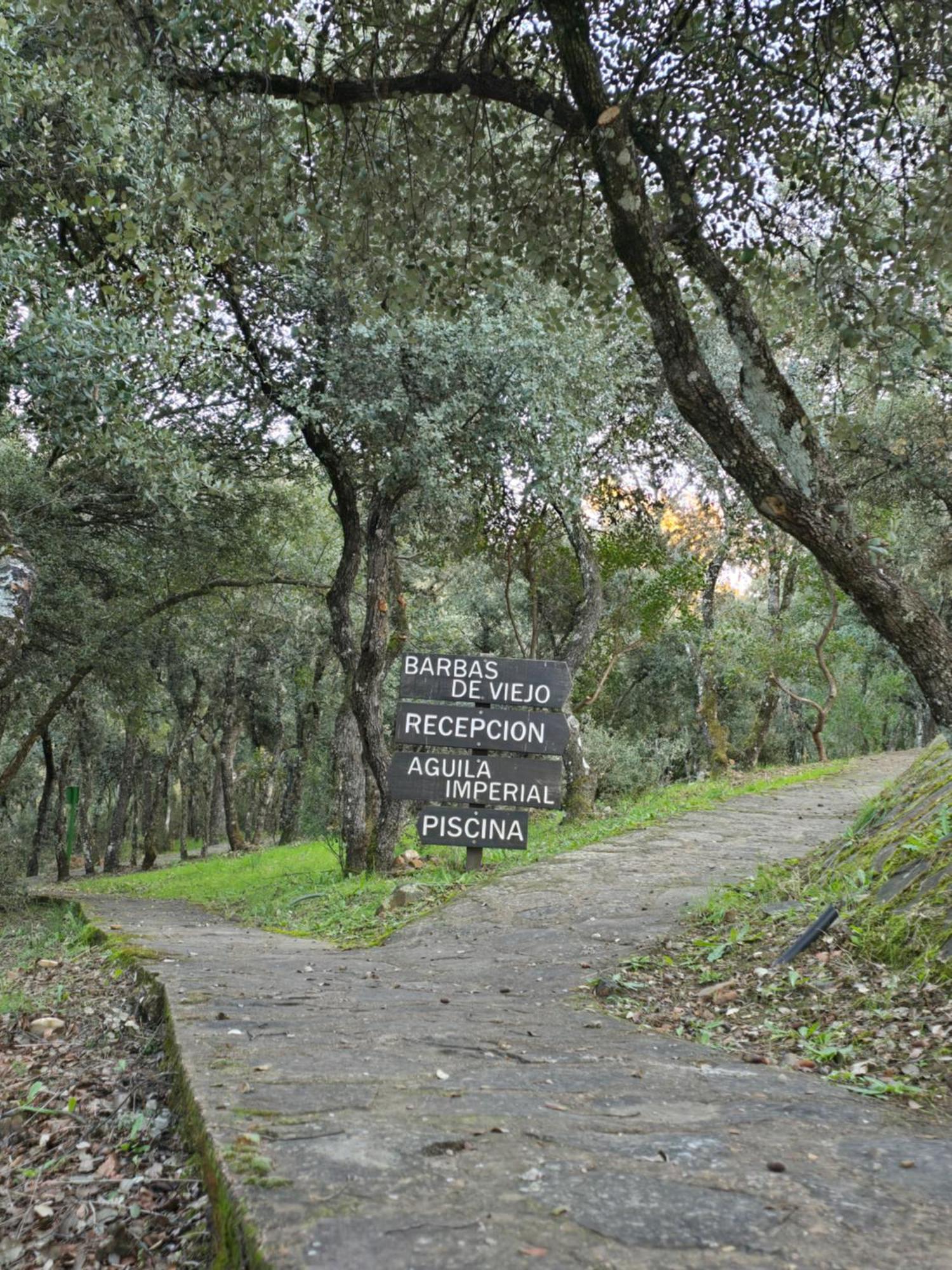 Nuevo Ecolodge Cabaneros Retuerta de Bullaque ภายนอก รูปภาพ