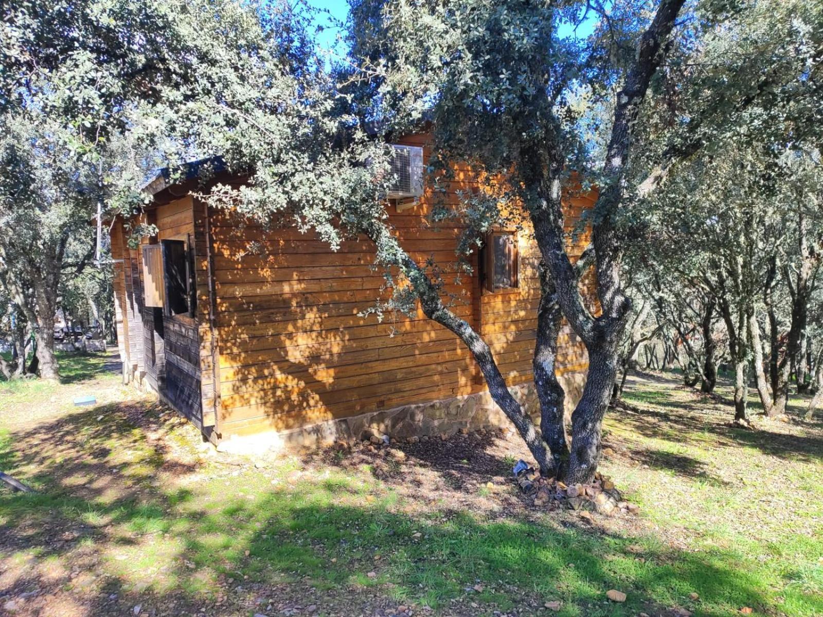 Nuevo Ecolodge Cabaneros Retuerta de Bullaque ภายนอก รูปภาพ