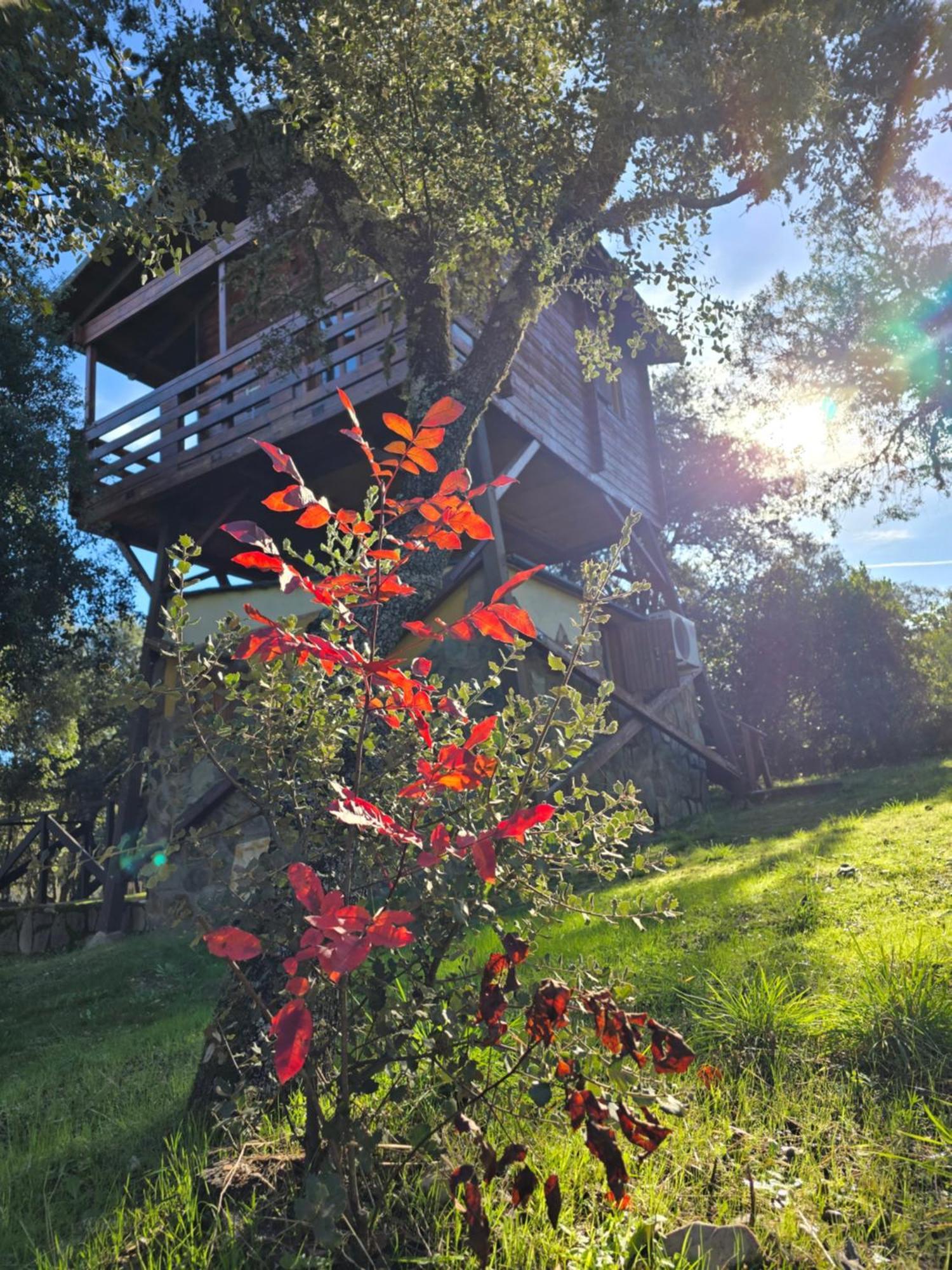 Nuevo Ecolodge Cabaneros Retuerta de Bullaque ภายนอก รูปภาพ